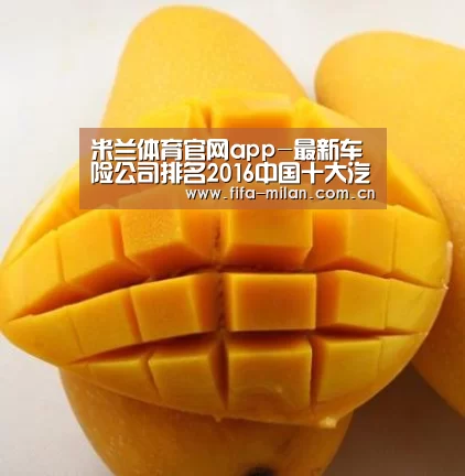 米兰体育官网入口