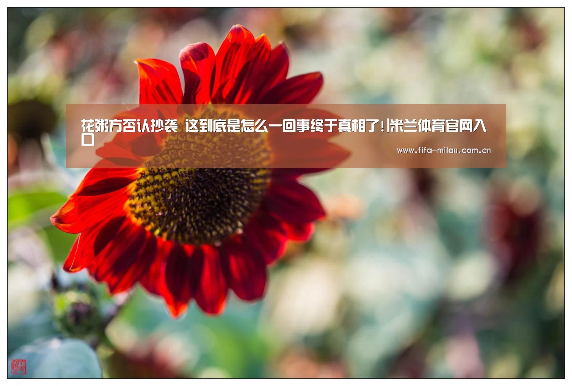 米兰体育官网app