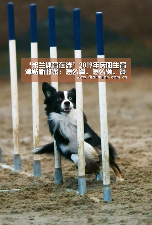 米兰体育在线
